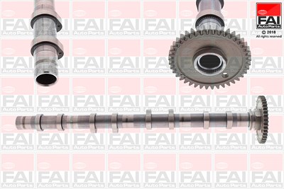 Fai Autoparts Nockenwelle [Hersteller-Nr. C393] für BMW, Mini von FAI AutoParts