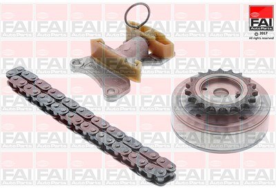 Fai Autoparts Steuerkettensatz [Hersteller-Nr. TCK124VVT] für Audi, Seat, Skoda, VW von FAI AutoParts