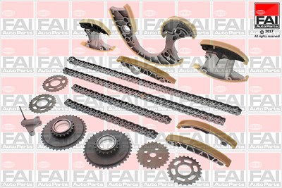 Fai Autoparts Steuerkettensatz [Hersteller-Nr. TCK219NG] für Audi, VW von FAI AutoParts