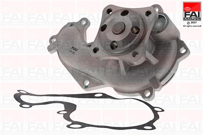 Fai Autoparts Wasserpumpe [Hersteller-Nr. WP6250] für Ford von FAI AutoParts