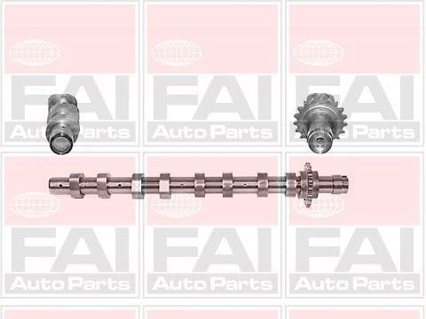 C266 Fai Nockenwelle OE Qualität von FAI Autoparts