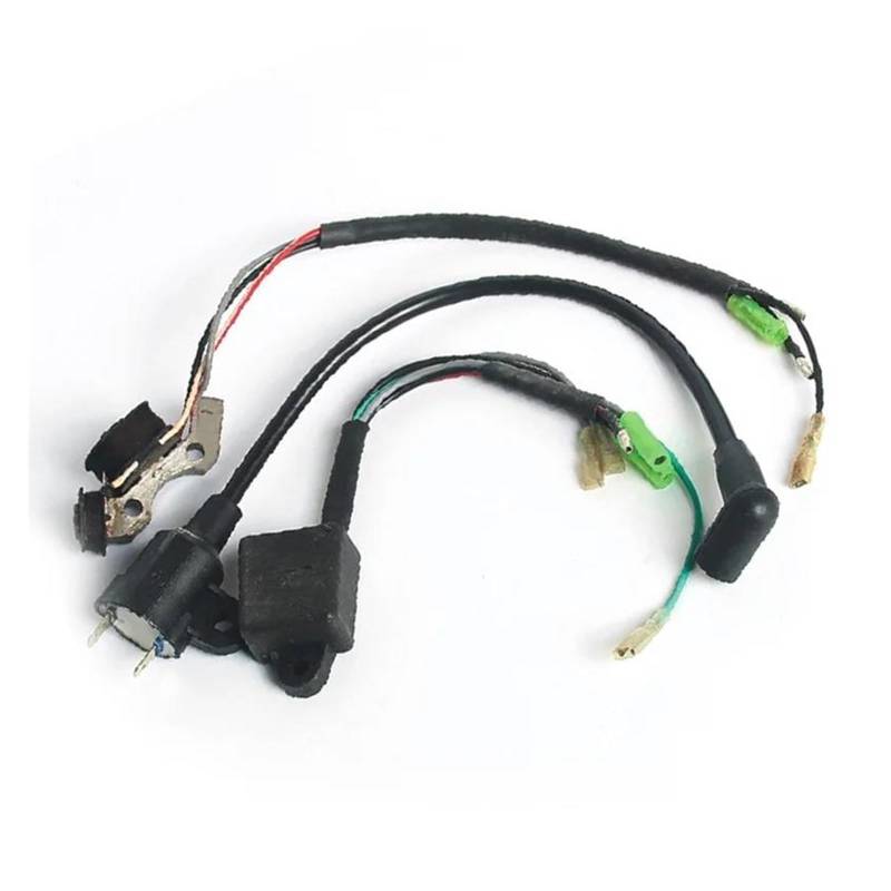 Zündspule 3 Stücke Für Tiger Für Generator 450 W 650 W 800 W 950 W 1000 W 2 Hub ET950 ET650 IE45 TG950 Mit Magneto Zündspule Zündgerät Zündungen von FANGYID