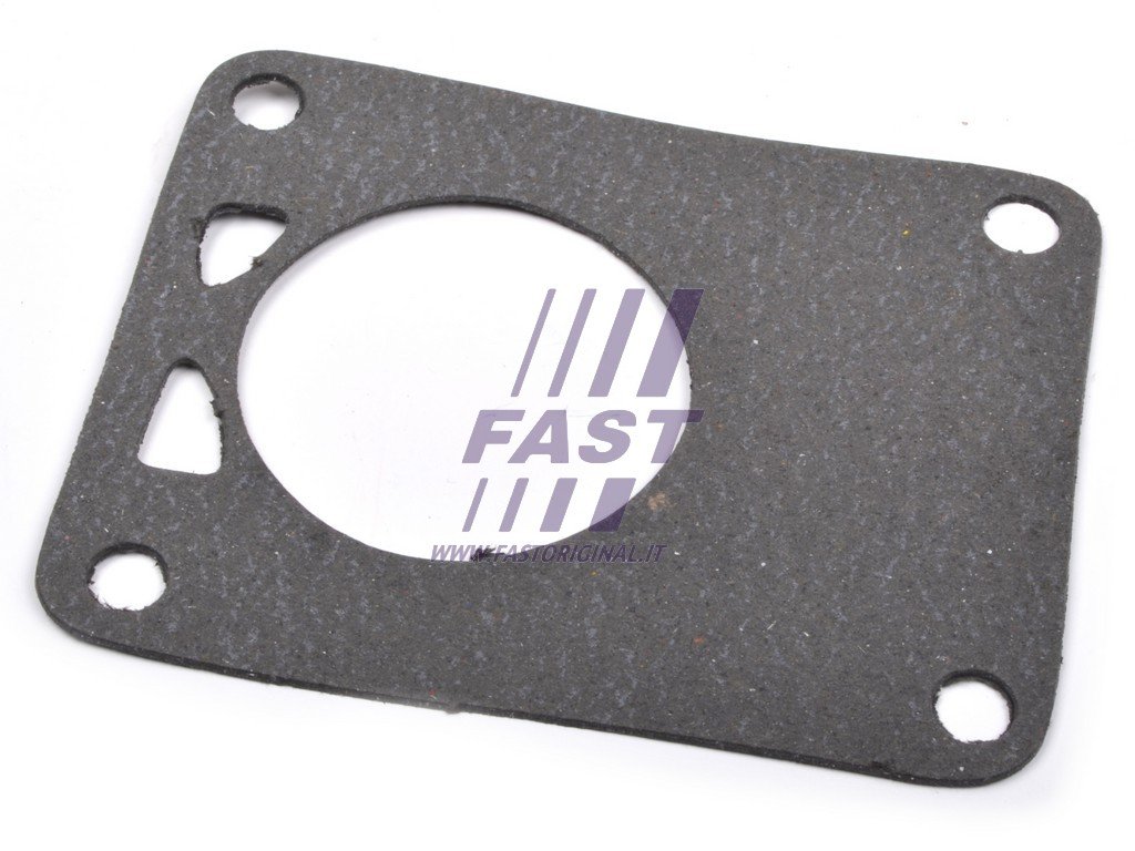 FAST Dichtung, Unterdruckpumpe FT49901 FAST Dichtung, Unterdruckpumpe FT49901 von FAST