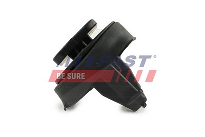 Fast Clip, Zier-/Schutzleiste [Hersteller-Nr. FT96310] für Iveco von FAST