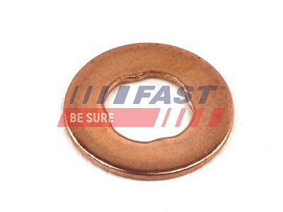 Fast Dichtring, Düsenhalter [Hersteller-Nr. FT49845] für Iveco von FAST