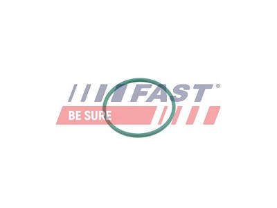 Fast Dichtring, Ladeluftschlauch [Hersteller-Nr. FT49921] für Citroën, Fiat, Ford, Mini, Peugeot von FAST
