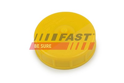 Fast Dichtring, Verschlussstopfen-Servopumpe [Hersteller-Nr. FT94743] für Citroën, Fiat, Opel, Peugeot von FAST