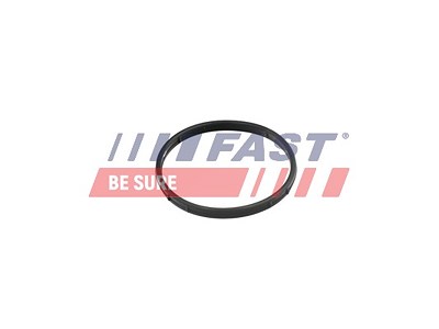 Fast Dichtung, AGR-Ventil [Hersteller-Nr. FT50602] für VW von FAST