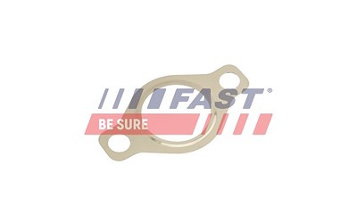 Fast Dichtung, AGR-Ventil [Hersteller-Nr. FT50618] für Citroën, Fiat, Iveco, Peugeot von FAST