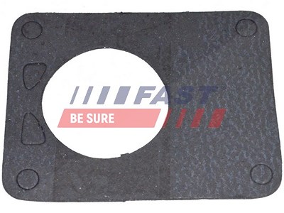 Fast Dichtung, Unterdruckpumpe [Hersteller-Nr. FT49901] für Citroën, Fiat, Iveco, Opel, Peugeot, Renault, Renault Trucks von FAST