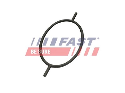 Fast Dichtung, Unterdruckpumpe [Hersteller-Nr. FT49923] für Ford von FAST