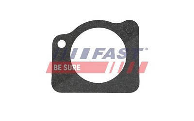 Fast Dichtung, Wasserpumpe [Hersteller-Nr. FT57404] für Fiat, Iveco von FAST