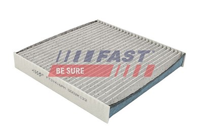 Fast Filter, Innenraumluft [Hersteller-Nr. FT37416PM] für Iveco von FAST