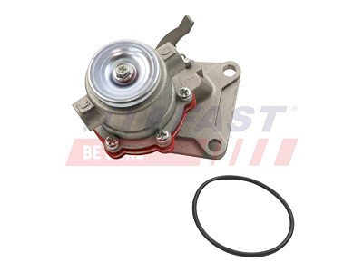 Fast Kraftstofffördermodul [Hersteller-Nr. FT53025] für Alfa Romeo, Fiat, Iveco von FAST