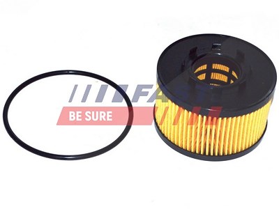 Fast Ölfilter [Hersteller-Nr. FT38086] für Ford, Jaguar, Ldv, Lti von FAST