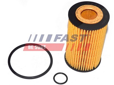 Fast Ölfilter [Hersteller-Nr. FT38090] für Renault von FAST
