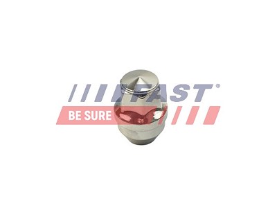 Fast Radmutter [Hersteller-Nr. FT21601] für Ford, Tesla von FAST