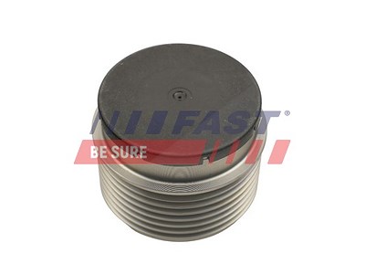 Fast Riemenscheibe, Generator [Hersteller-Nr. FT45646] für Ford von FAST