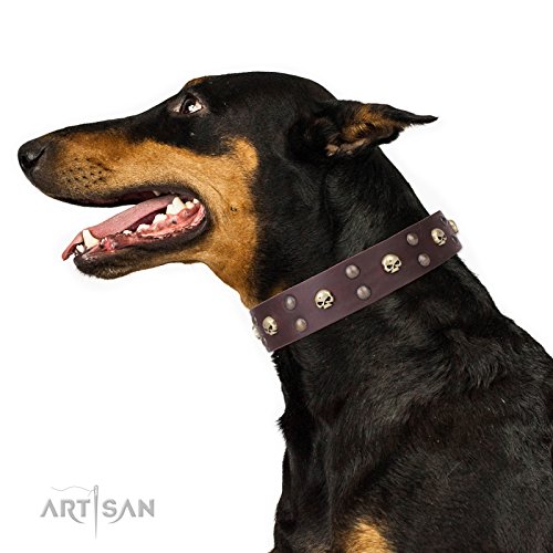 FDT Artisan Leder Hundehalsband mit Messing vergoldet Dekorationen – "Face The Skull" von FDT Artisan