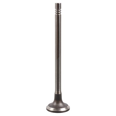 Febi Bilstein Einlassventil [Hersteller-Nr. 175555] für Mercedes-Benz, Renault von FEBI BILSTEIN