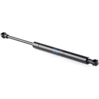 FEBI BILSTEIN Heckklappendämpfer beidseitig 12349 Kofferraum Dämpfer,Gasfeder Heckklappe BMW,3 Limousine (E46),3 Coupe (E46) FEBI BILSTEIN Heckklappendämpfer beidseitig 12349 Kofferraum Dämpfer,Gasfeder Heckklappe BMW,3 Limousine (E46),3 Coupe (E46) von FEBI BILSTEIN