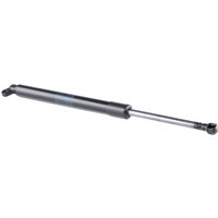 FEBI BILSTEIN Heckklappendämpfer beidseitig 27602 Kofferraum Dämpfer,Gasfeder Heckklappe BMW,5 Limousine (E39) FEBI BILSTEIN Heckklappendämpfer beidseitig 27602 Kofferraum Dämpfer,Gasfeder Heckklappe BMW,5 Limousine (E39) von FEBI BILSTEIN