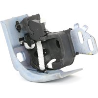FEBI BILSTEIN Halter, Schalldämpfer vorne 29584 RENAULT,SCÉNIC II (JM0/1_),MEGANE II Coupé-Cabriolet (EM0/1_),MEGANE II Kombi (KM0/1_) FEBI BILSTEIN Halter, Schalldämpfer vorne 29584 RENAULT,SCÉNIC II (JM0/1_),MEGANE II Coupé-Cabriolet (EM0/1_),MEGANE II Kombi (KM0/1_) von FEBI BILSTEIN