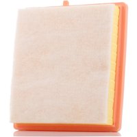 FEBI BILSTEIN Luftfilter Filtereinsatz 47829 Motorluftfilter,Filter für Luft OPEL,VAUXHALL,Adam (M13),Adam (M13) FEBI BILSTEIN Luftfilter Filtereinsatz 47829 Motorluftfilter,Filter für Luft OPEL,VAUXHALL,Adam (M13),Adam (M13) von FEBI BILSTEIN