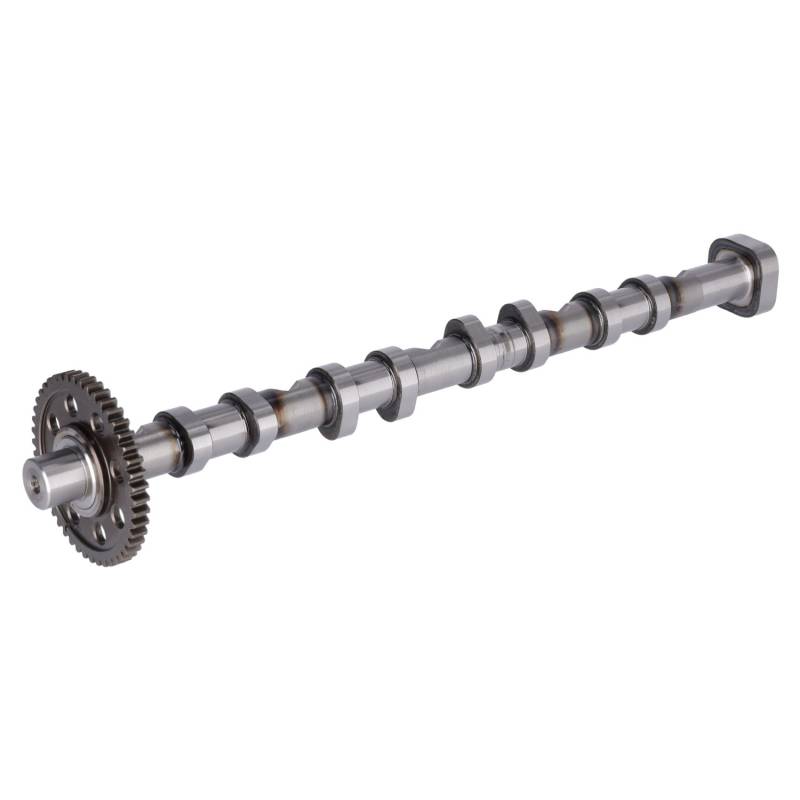 FEBI BILSTEIN Nockenwelle VW,AUDI,SKODA 178379 6H109022BA,6H109022L,06H109022BA 06H109022L von FEBI BILSTEIN