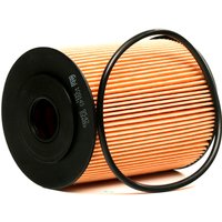 FEBI BILSTEIN Ölfilter Filtereinsatz 109143 Motorölfilter,Filter für Öl VW,AUDI,MERCEDES-BENZ,Golf IV Schrägheck (1J1) FEBI BILSTEIN Ölfilter Filtereinsatz 109143 Motorölfilter,Filter für Öl VW,AUDI,MERCEDES-BENZ,Golf IV Schrägheck (1J1) von FEBI BILSTEIN