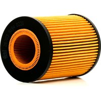 FEBI BILSTEIN Ölfilter Filtereinsatz 26703 Motorölfilter,Filter für Öl BMW,5 Limousine (E60),5 Touring (E61),X5 (E53),7 (E65, E66, E67),6 Coupe (E63) von FEBI BILSTEIN