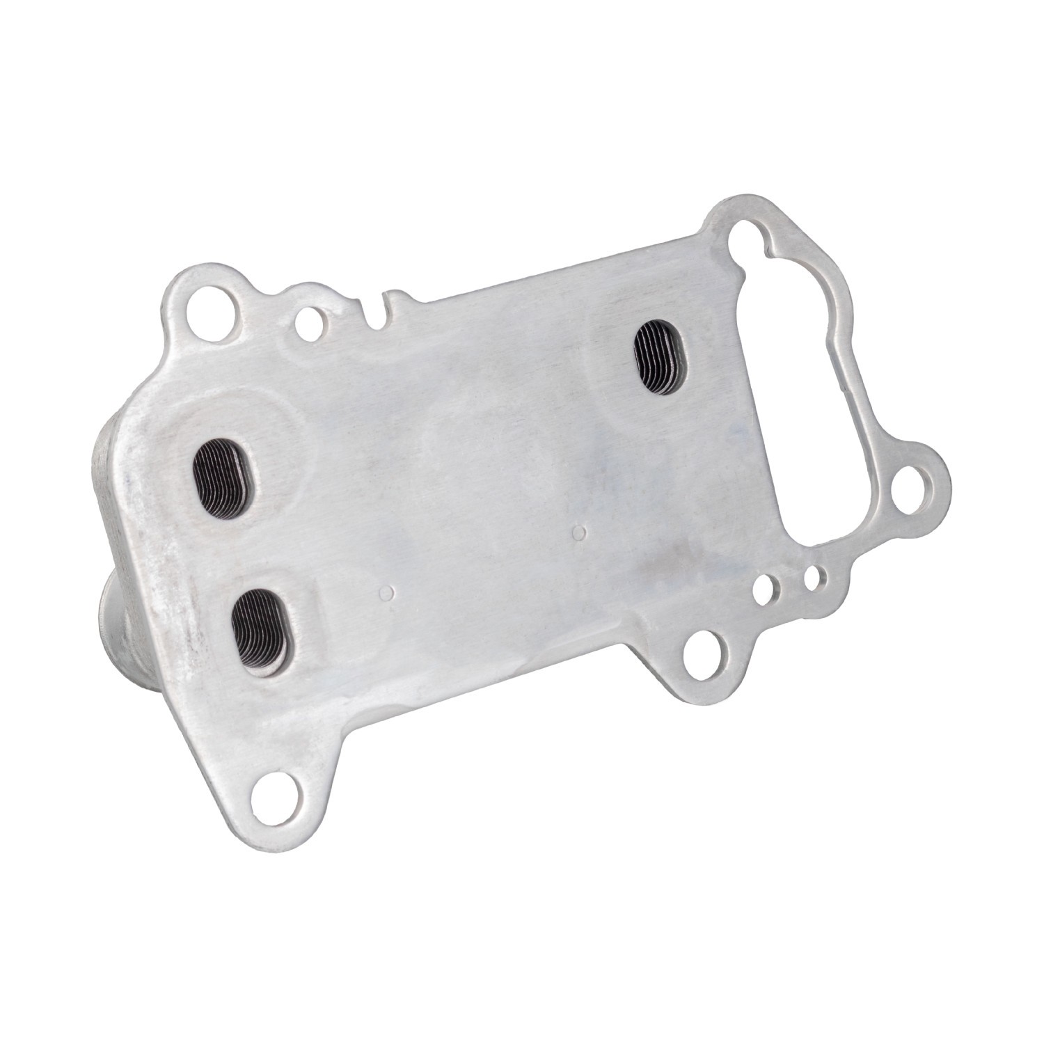 FEBI BILSTEIN Ölkühler BMW 185510 11427802113 Ölkühler, Motoröl von FEBI BILSTEIN