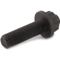FEBI BILSTEIN Riemenscheibenschraube stirnseitig 09590 VW,AUDI,FORD,Golf IV Schrägheck (1J1) FEBI BILSTEIN Riemenscheibenschraube stirnseitig 09590 VW,AUDI,FORD,Golf IV Schrägheck (1J1) von FEBI BILSTEIN