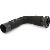 FEBI BILSTEIN Schlauch, Zylinderkopfhaubenentlüftung febi Plus mit Schnellkupplung 45319 VW,AUDI,SKODA,Golf IV Schrägheck (1J1) FEBI BILSTEIN Schlauch, Zylinderkopfhaubenentlüftung febi Plus mit Schnellkupplung 45319 VW,AUDI,SKODA,Golf IV Schrägheck (1J1) von FEBI BILSTEIN