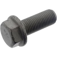 FEBI BILSTEIN Schraube, Bremssattel Vorderachse 48810 VW,AUDI,SKODA,Golf V Schrägheck (1K1),Golf VII Schrägheck (5G1, BQ1, BE1, BE2) FEBI BILSTEIN Schraube, Bremssattel Vorderachse 48810 VW,AUDI,SKODA,Golf V Schrägheck (1K1),Golf VII Schrägheck (5G1, BQ1, BE1, BE2) von FEBI BILSTEIN