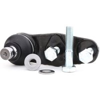 FEBI BILSTEIN Traggelenk BMTS Turbo NEU 10640 Trag- / Führungsgelenk,Achsgelenk RENAULT,NISSAN,CLIO II (BB0/1/2_, CB0/1/2_),TWINGO I (C06_) FEBI BILSTEIN Traggelenk BMTS Turbo NEU 10640 Trag- / Führungsgelenk,Achsgelenk RENAULT,NISSAN,CLIO II (BB0/1/2_, CB0/1/2_),TWINGO I (C06_) von FEBI BILSTEIN