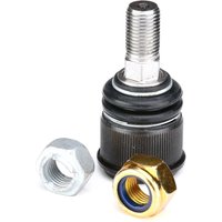 FEBI BILSTEIN Traggelenk BMTS Turbo NEU 27066 Trag- / Führungsgelenk,Achsgelenk MERCEDES-BENZ,E-Klasse Limousine (W211),E-Klasse T-modell (S211) FEBI BILSTEIN Traggelenk BMTS Turbo NEU 27066 Trag- / Führungsgelenk,Achsgelenk MERCEDES-BENZ,E-Klasse Limousine (W211),E-Klasse T-modell (S211) von FEBI BILSTEIN