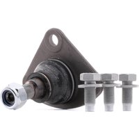 FEBI BILSTEIN Traggelenk BMTS Turbo NEU 29385 Trag- / Führungsgelenk,Achsgelenk OPEL,FIAT,PEUGEOT,Movano C Kastenwagen (U9) FEBI BILSTEIN Traggelenk BMTS Turbo NEU 29385 Trag- / Führungsgelenk,Achsgelenk OPEL,FIAT,PEUGEOT,Movano C Kastenwagen (U9) von FEBI BILSTEIN
