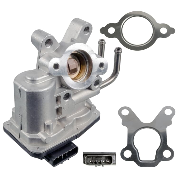 Febi AGR-Ventil Nissan Cabstar Nt400 Patrol Febi AGR-Ventil Nissan Cabstar Nt400 Patrol von FEBI BILSTEIN