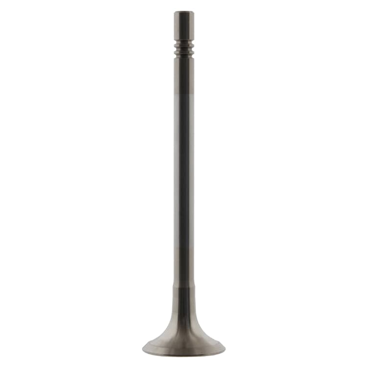 Febi Ausla?ventil Audi Seat Skoda VW Febi Ausla?ventil Audi Seat Skoda VW von FEBI BILSTEIN