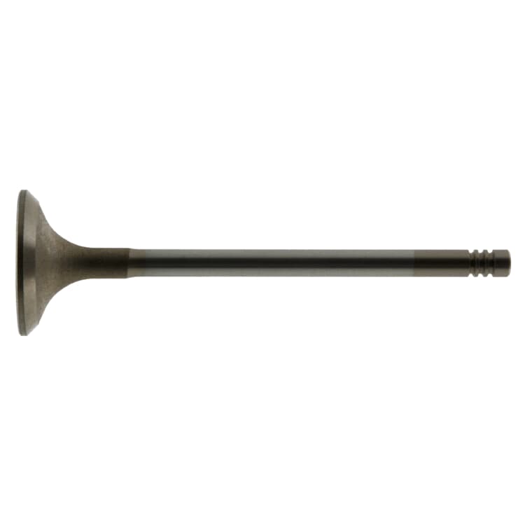 Febi Ausla?ventil BMW 3er 5er 7er Land Rover Range Opel Omega Febi Ausla?ventil BMW 3er 5er 7er Land Rover Range Opel Omega von FEBI BILSTEIN