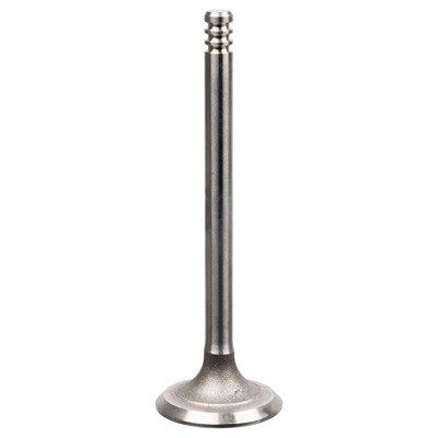 Febi Bilstein Einlaßventil [Hersteller-Nr. 21234] für Seat, VW von FEBI BILSTEIN