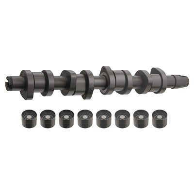 Febi Bilstein Nockenwellensatz [Hersteller-Nr. 33197] für Audi, VW von FEBI BILSTEIN
