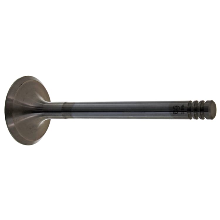 Febi Einlassventil Audi VW Febi Einlassventil Audi VW von FEBI BILSTEIN