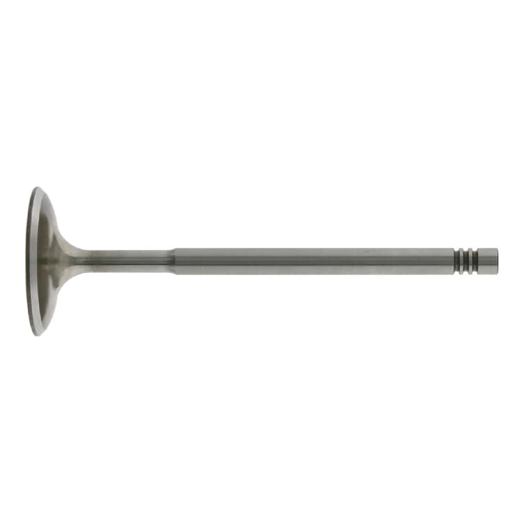 Febi Einlassventil Audi VW Febi Einlassventil Audi VW von FEBI BILSTEIN