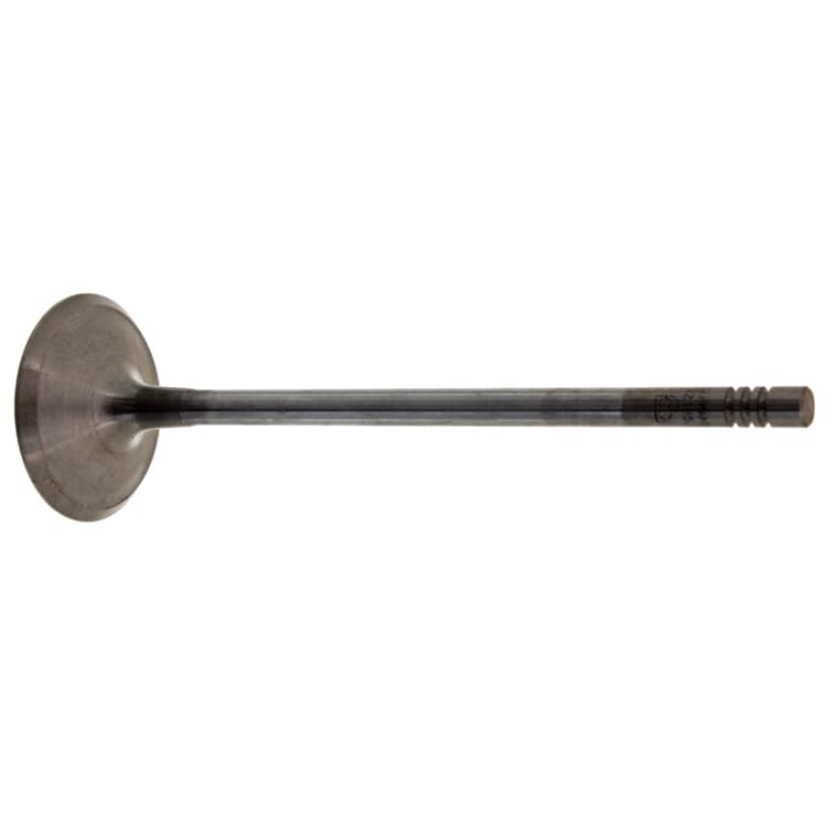 Febi Einlassventil BMW 3er 5er X3 Z4 Febi Einlassventil BMW 3er 5er X3 Z4 von FEBI BILSTEIN