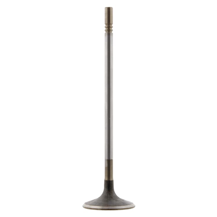 Febi Einlassventil Chevrolet Fiat Opel Febi Einlassventil Chevrolet Fiat Opel von FEBI BILSTEIN