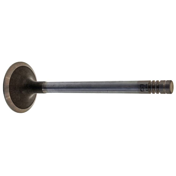 Febi Einlassventil Ford Transit Febi Einlassventil Ford Transit von FEBI BILSTEIN
