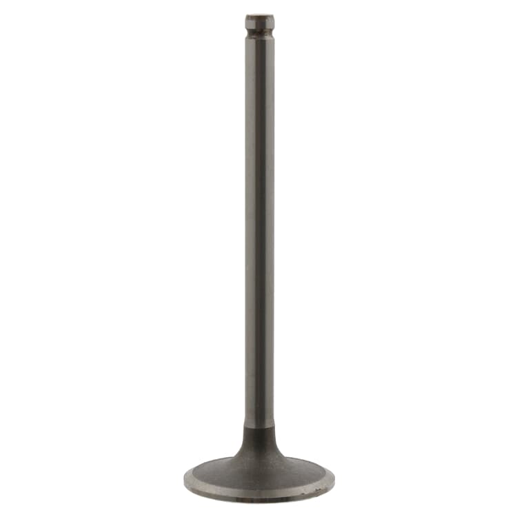 Febi Einlassventil Citroen Fiat Peugeot Febi Einlassventil Citroen Fiat Peugeot von FEBI BILSTEIN