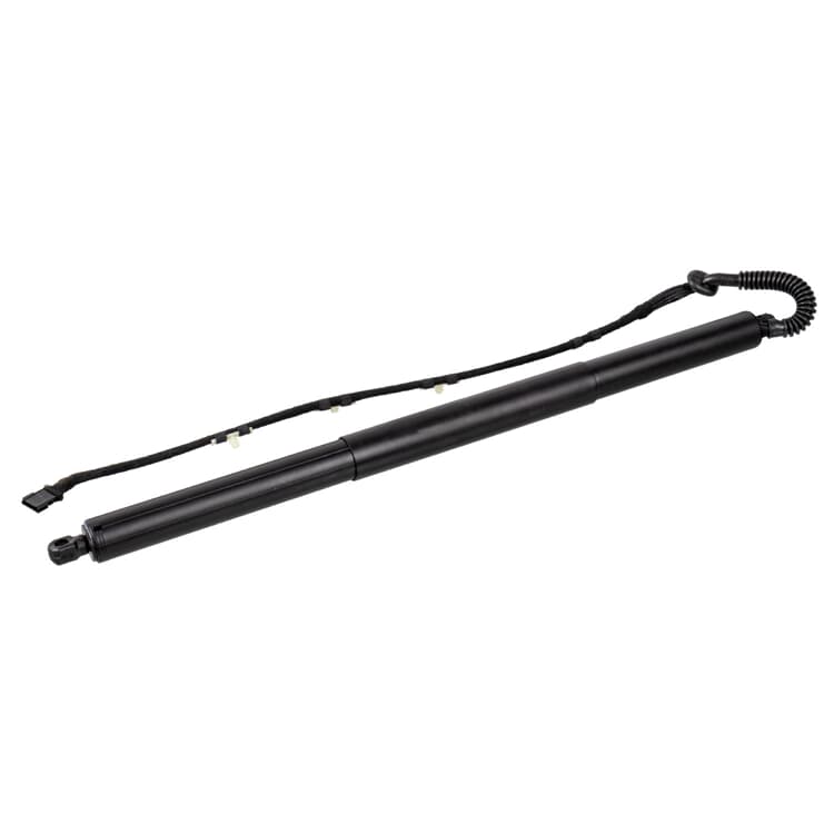 Febi Gasfeder elektrisch rechts BMW Febi Gasfeder elektrisch rechts BMW von FEBI BILSTEIN